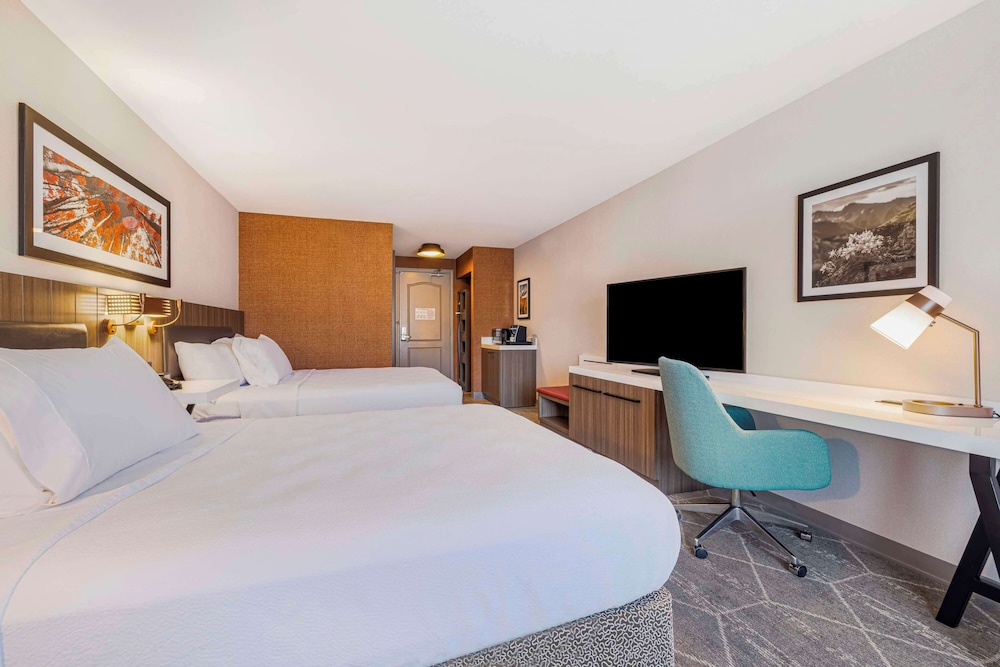 Hilton Garden Inn Colorado Springs Airport - photo 15