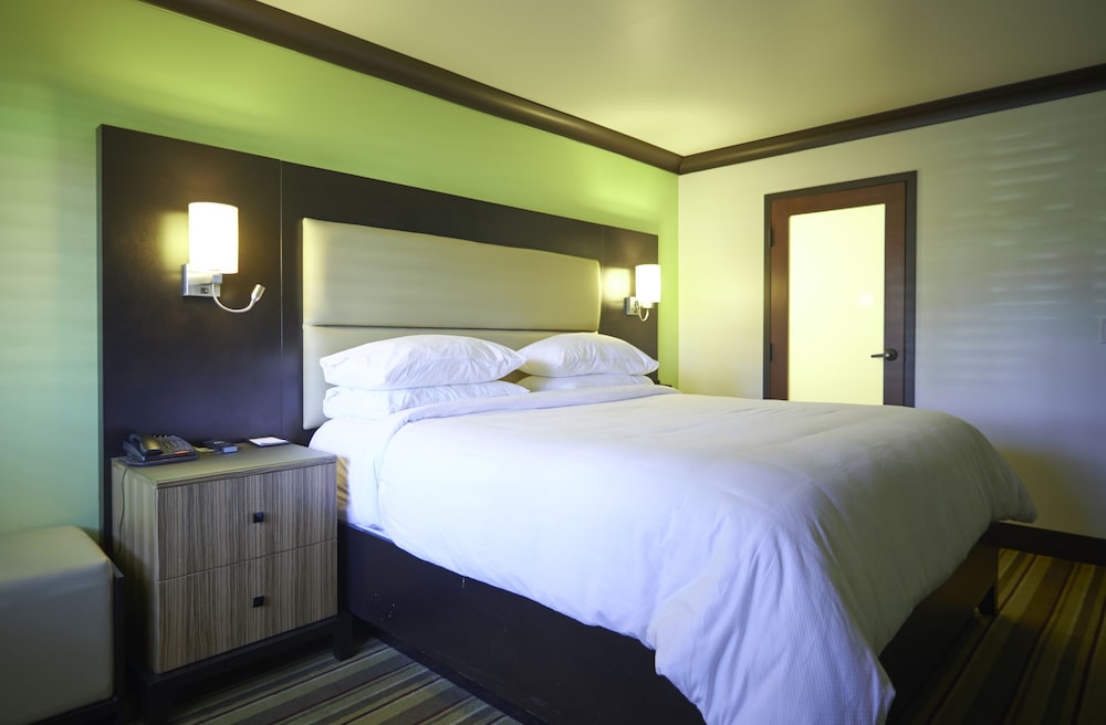 Hotel Azura - photo 17