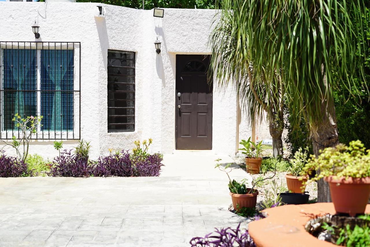 Casa Avocado en García Gineres — 4-Star Luxury Hotel in Merida, Mexico