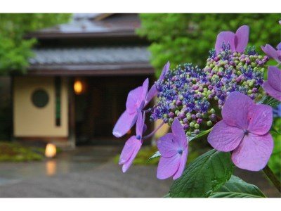 Onyado Kawasemi in Fukushima, Japan