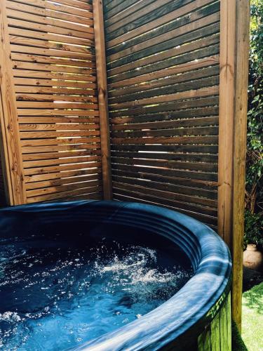 Touch of Rose in Shelomi, Israel