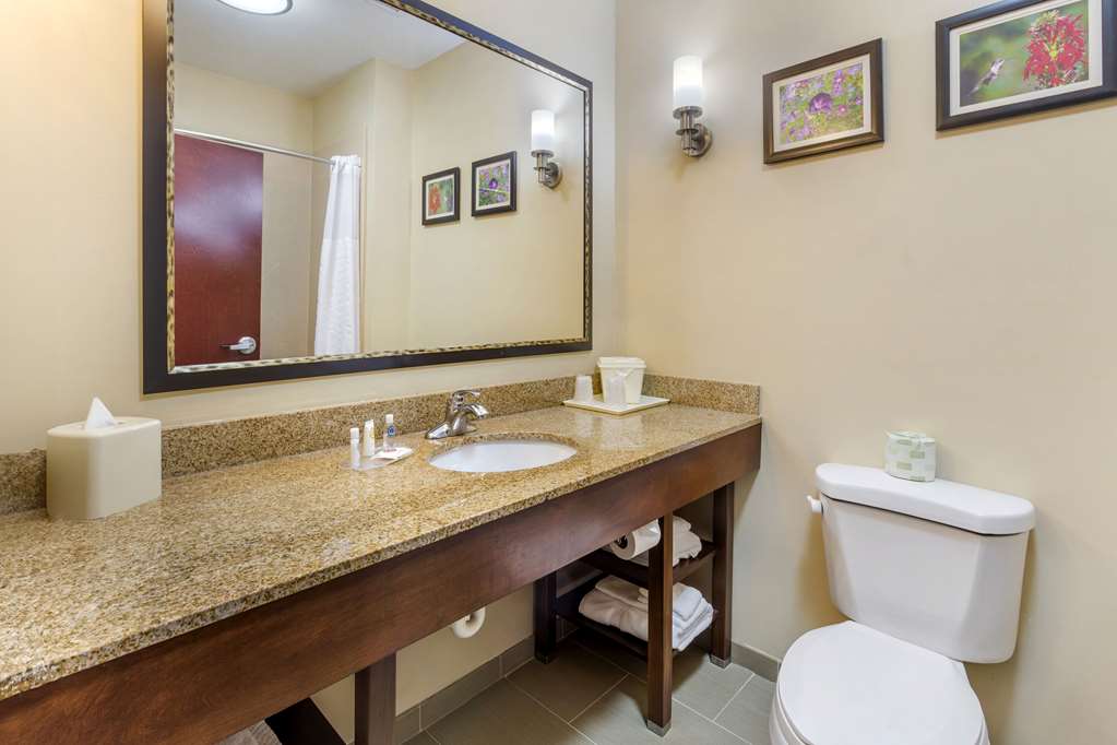 Comfort Suites Wilson I 95 - photo 8