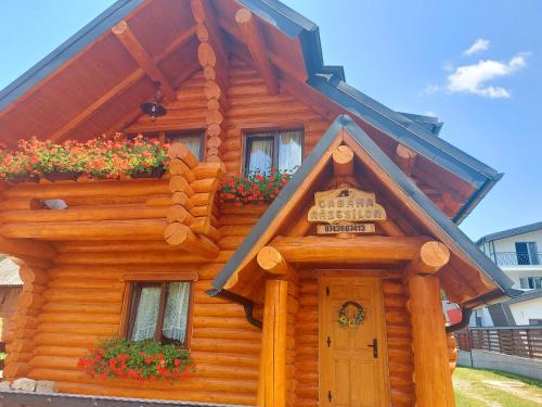 Cabana Razesilor in Gura Humorului, Romania