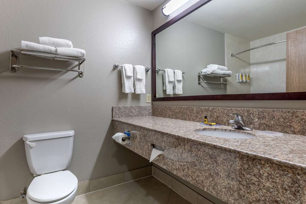 Best Western Plus Mansfield Inn & Suites - photo 23