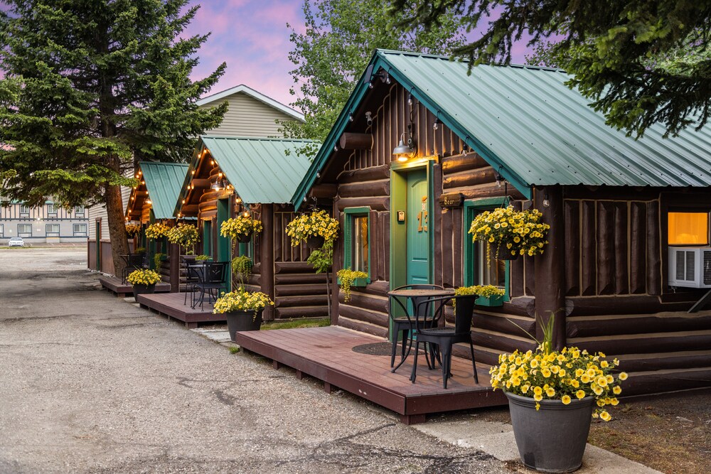 The Bucking Moose - photo 141
