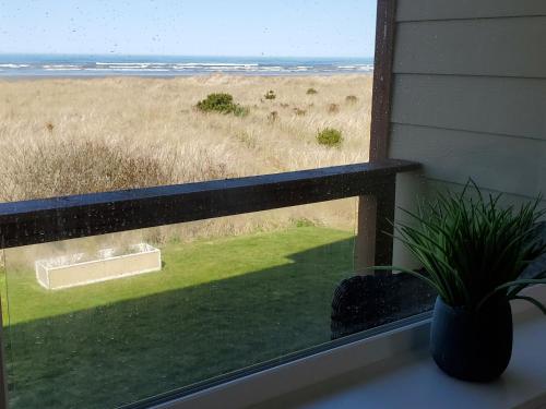 Moonstone Beach Motel - photo 120