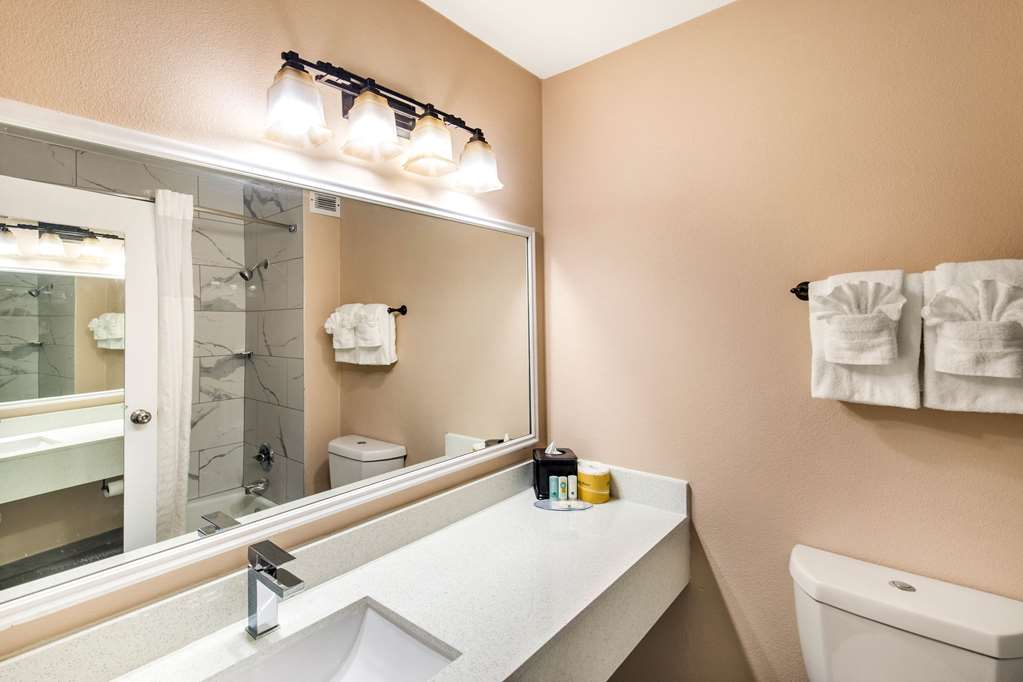 Quality Inn & Suites Plano East Richardson - photo 7