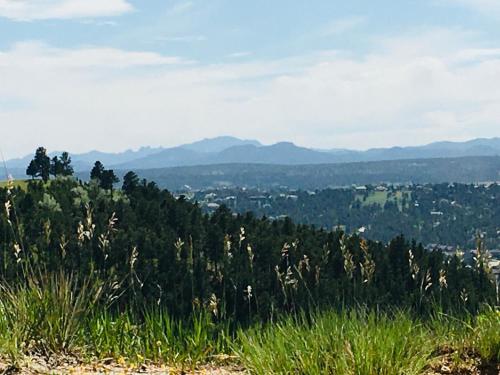 Priceless Black Hills View - photo 46