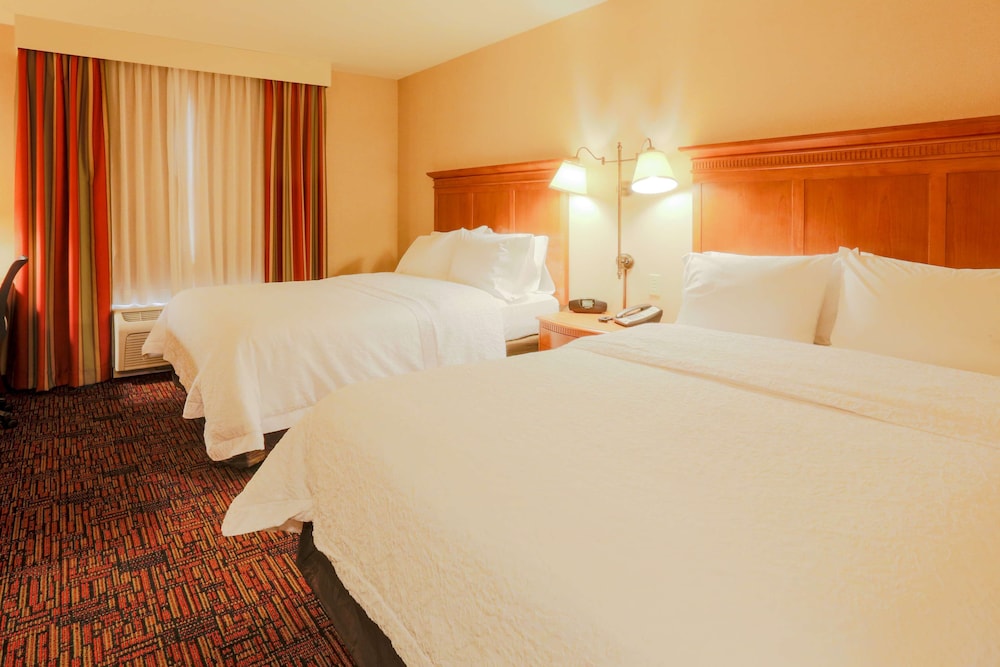 Hampton Inn & Suites by Hilton Tomball Houston NW - photo 12