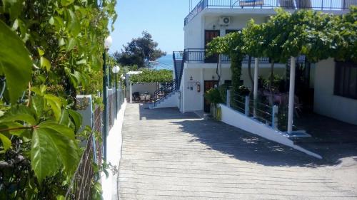 Gorgona Rooms — Thasos — photo 4