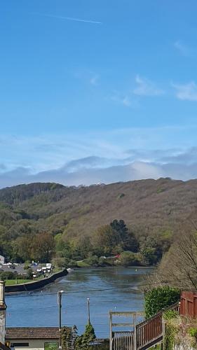 Driftwood in Looe River view and parking in Looe, United Kingdom
