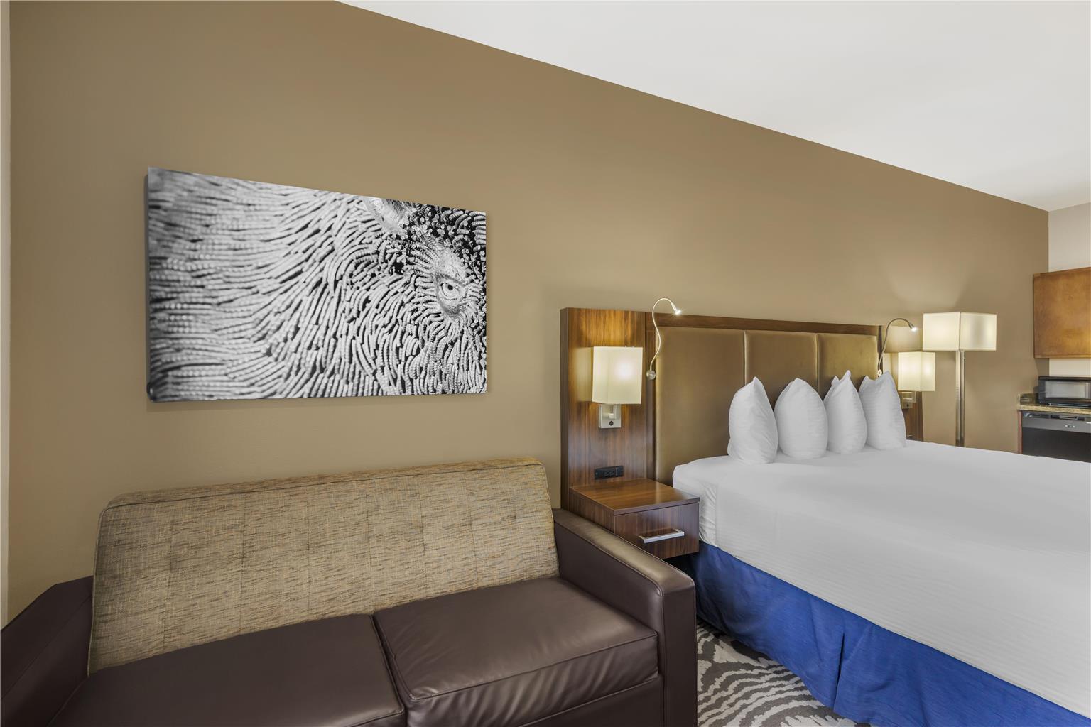Best Western Plus Williston Hotel & Suites - photo 39