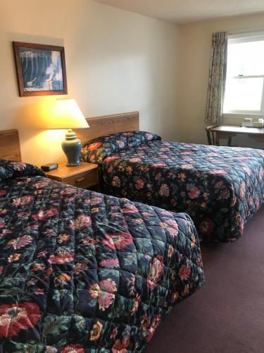 Four Seasons Motor Inn - photo 21