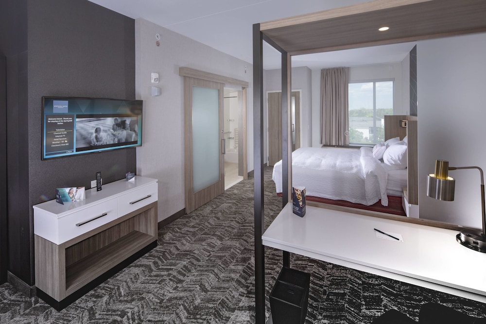 SpringHill Suites by Marriott Newark Downtown - photo 3