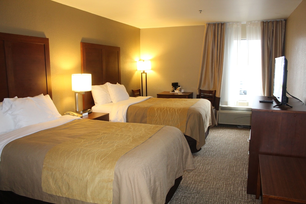 Bristol Arcadia Inn - photo 16