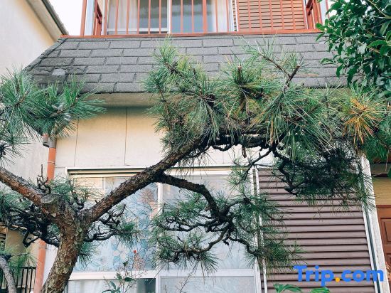 Naramoon in Nara-Shi, Japan