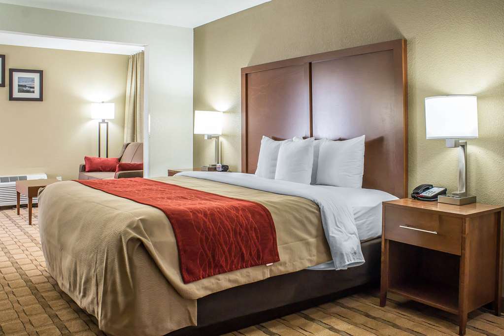 Comfort Inn & Suites Cedar Rapids North Collins Road - photo 44