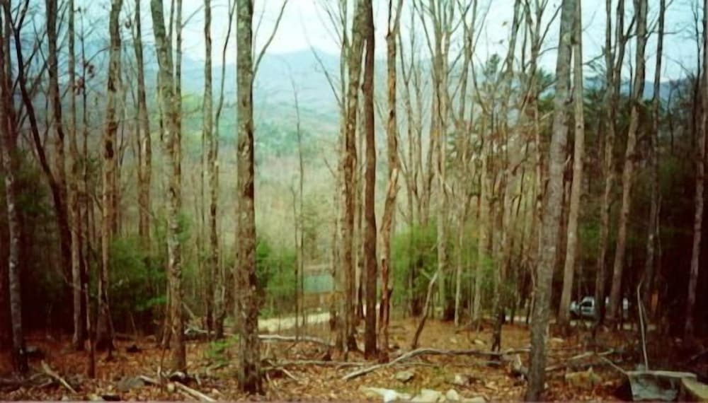 Nantahala Cabins - photo 106
