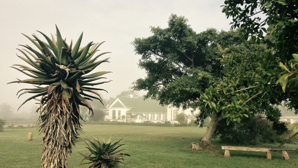 Kingston Farm in Port Alfred, South Africa