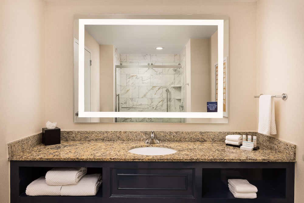 Embassy Suites by Hilton Atlanta Buckhead - photo 10