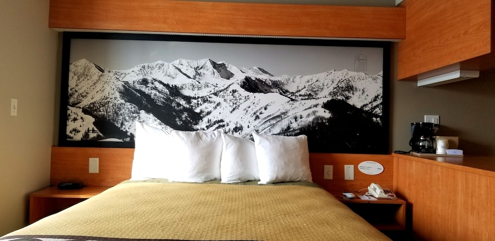 Royal Inn - photo 6