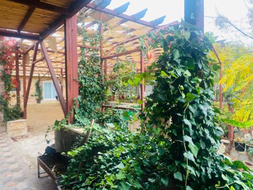 Green Houseجوهره الشمال — hotel in 'Ajlun