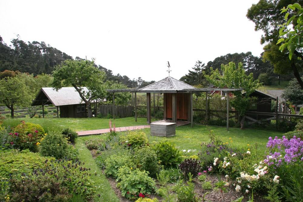 The Stanford Inn By The Sea Eco Resort - photo 78