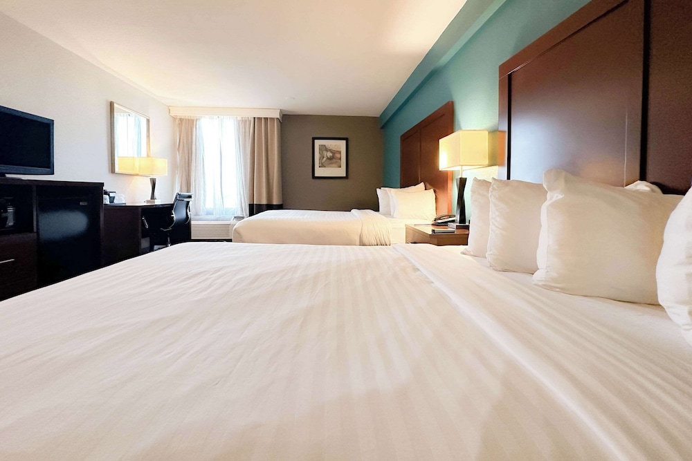The Adventure Hotel by the parks - photo 18
