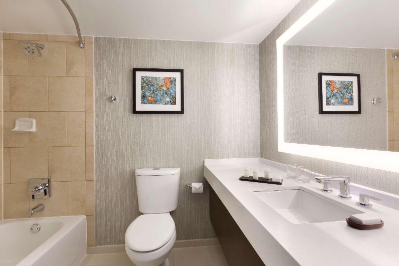 Embassy Suites by Hilton Chicago Lombard Oak Brook - photo 71
