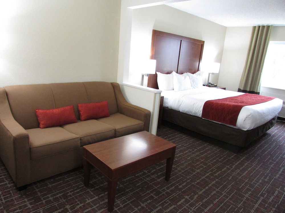 Comfort Inn Wichita Falls Near University - photo 7