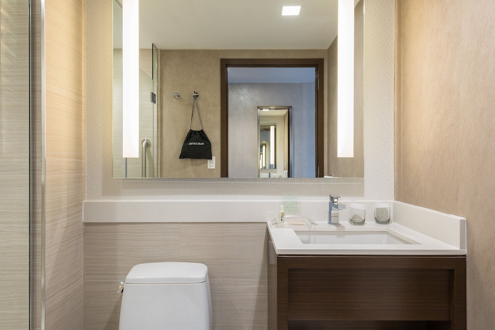 Holiday Inn Brooklyn Downtown by IHG - photo 14