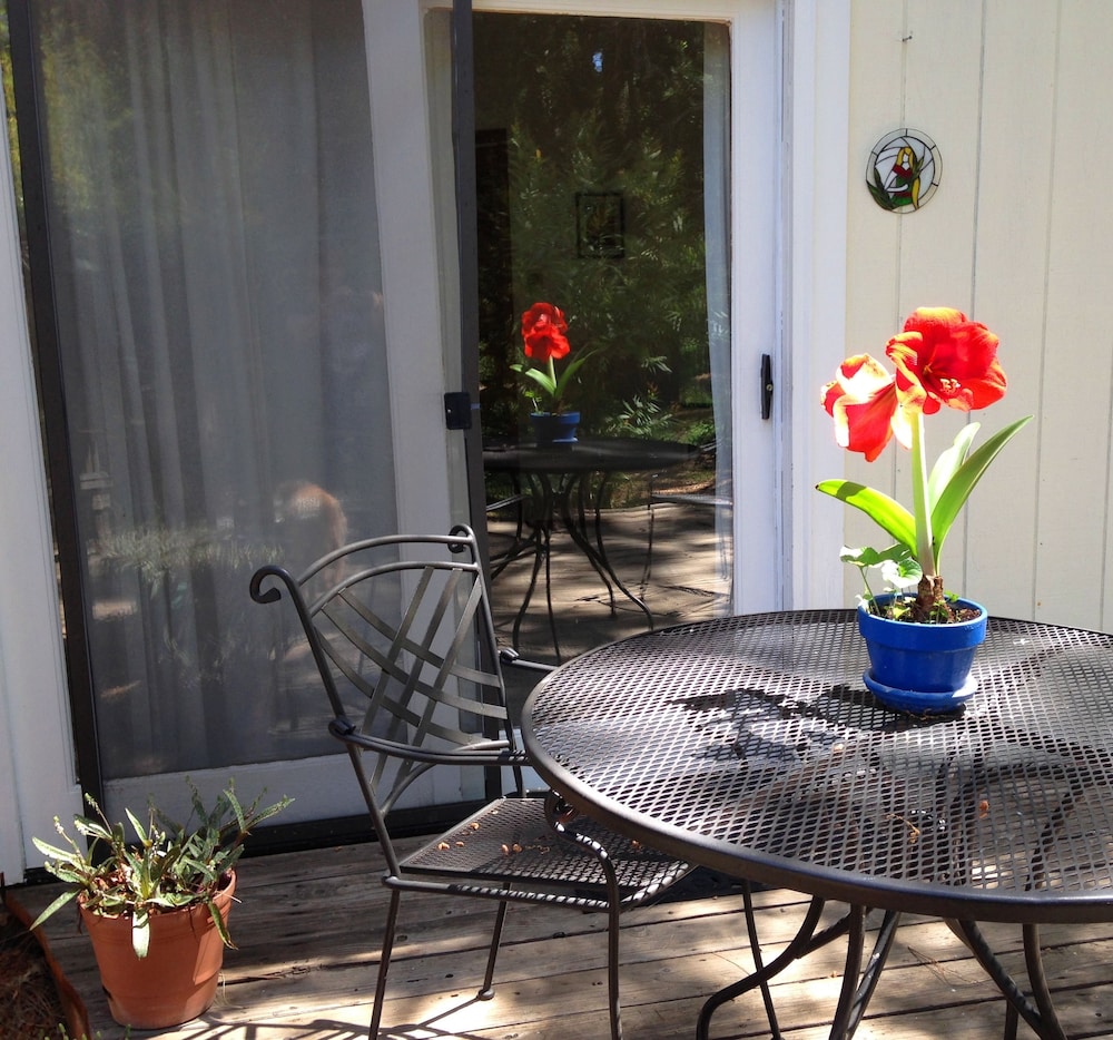 Backyard Garden Oasis - photo 47