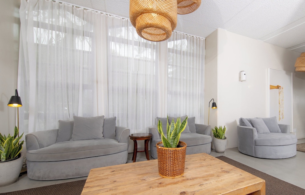 Ohia Waikiki Studio Suites - photo 6