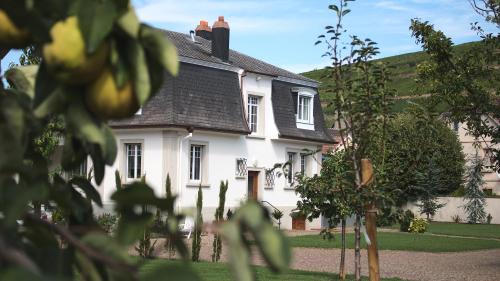 Les Charmes De La Vallée Noble — hotel in Soultzmatt