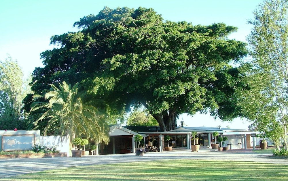 Damas in Worcester, South Africa