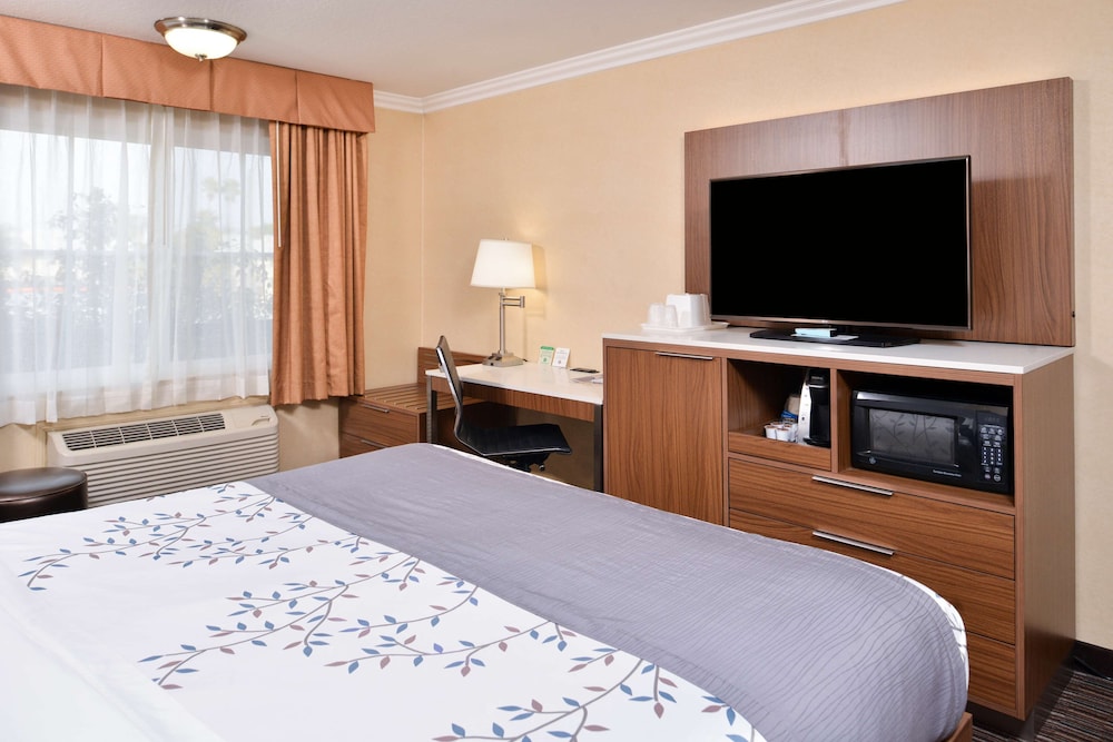 Best Western Airpark Hotel LAX Airport LA Stadium - photo 24