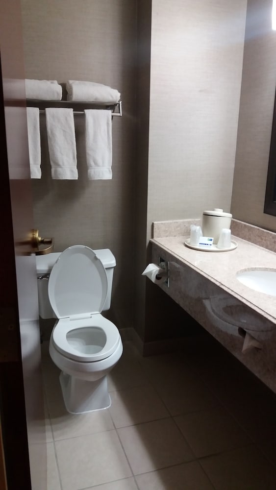 Holiday Inn Express Hotel & Suites Waterford by IHG - photo 59