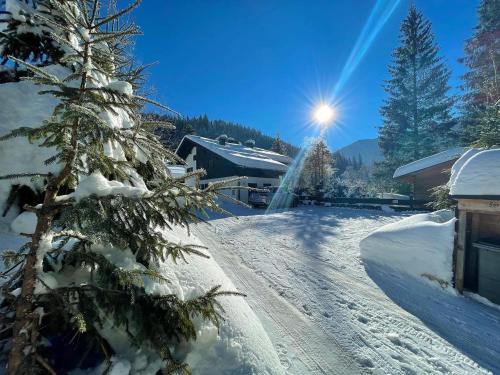 Forsthaus Reit im Winkl — 4-Star Luxury Hotel in Reit Im Winkl, Germany