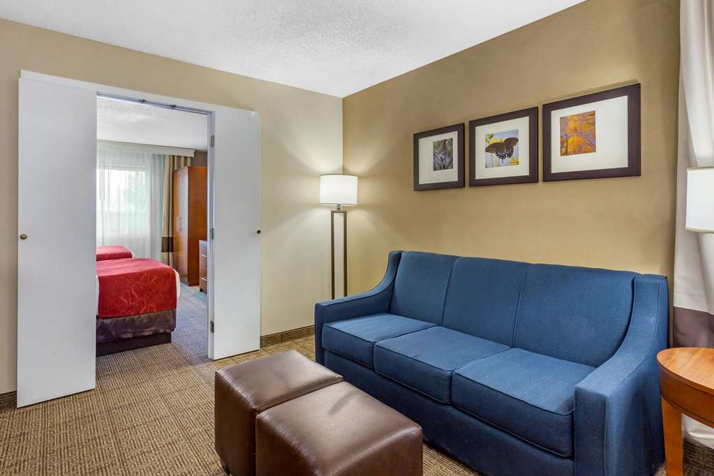Comfort Suites Oakbrook Terrace near Oakbrook Center - photo 15