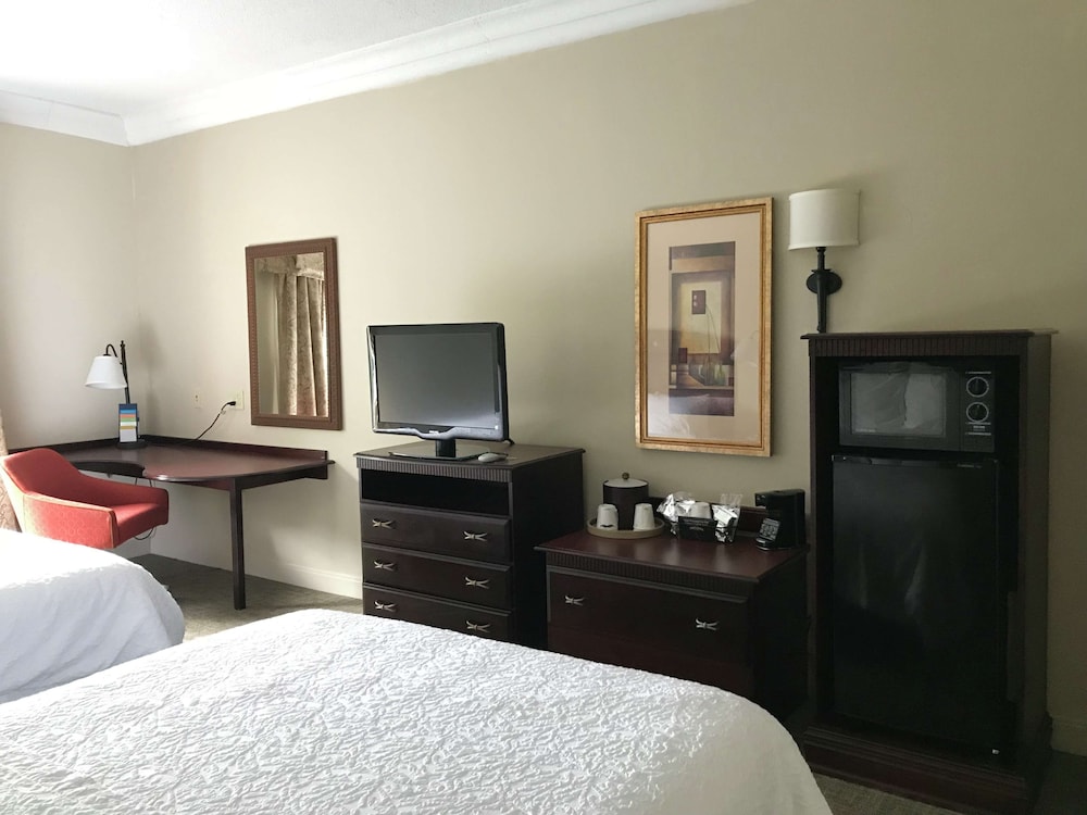Hampton Inn Vidalia - photo 8