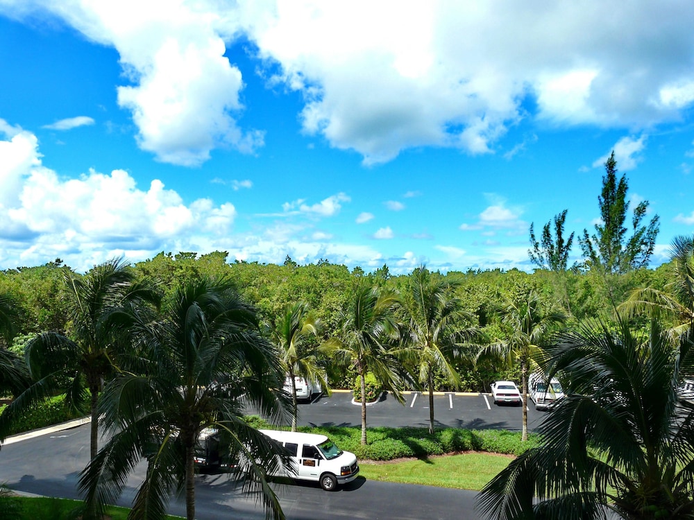 Beachfront condo in resort style community with pool - photo 50