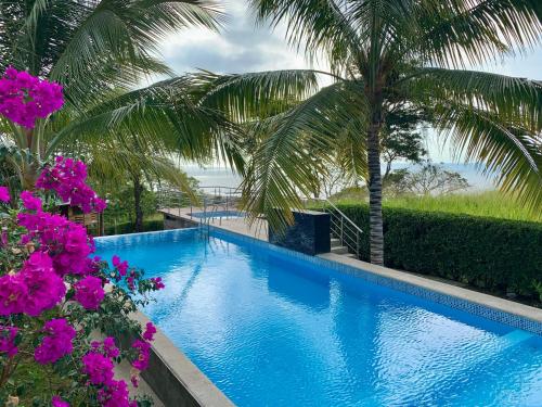 L Oasis Don Juan — Unknown City