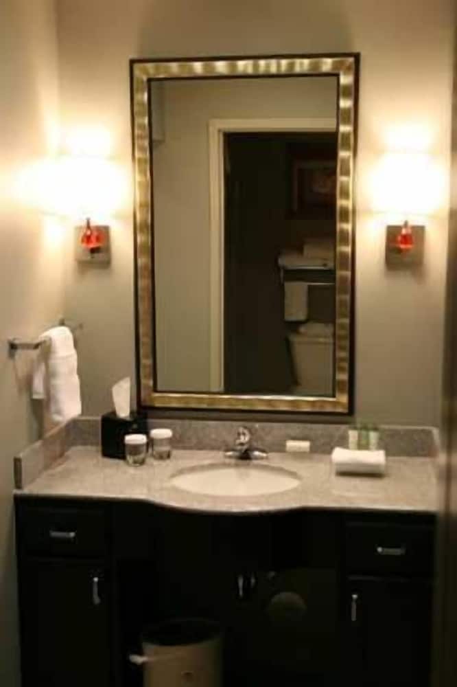 Homewood Suites by Hilton Leesburg - photo 24