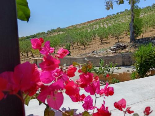 Villa dei Mandorli — 4-Star Luxury Hotel in Naro, Italy