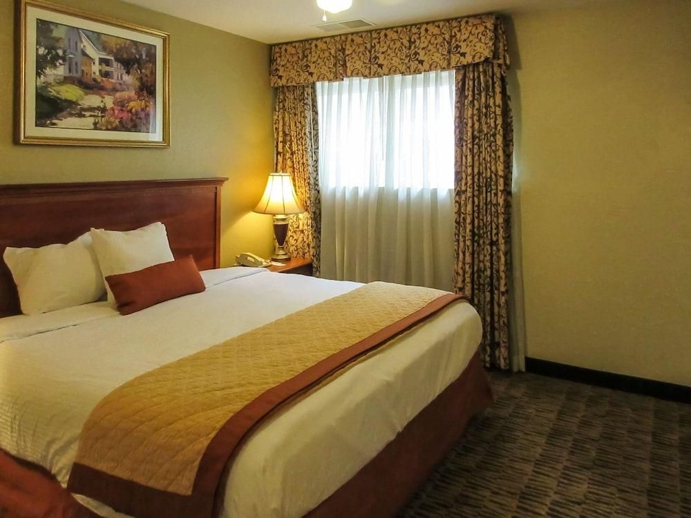 Premiere Suites - photo 7