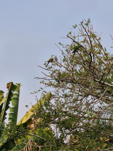 Pousada Montanha Sagrada in Sao Lourenco, Brasil