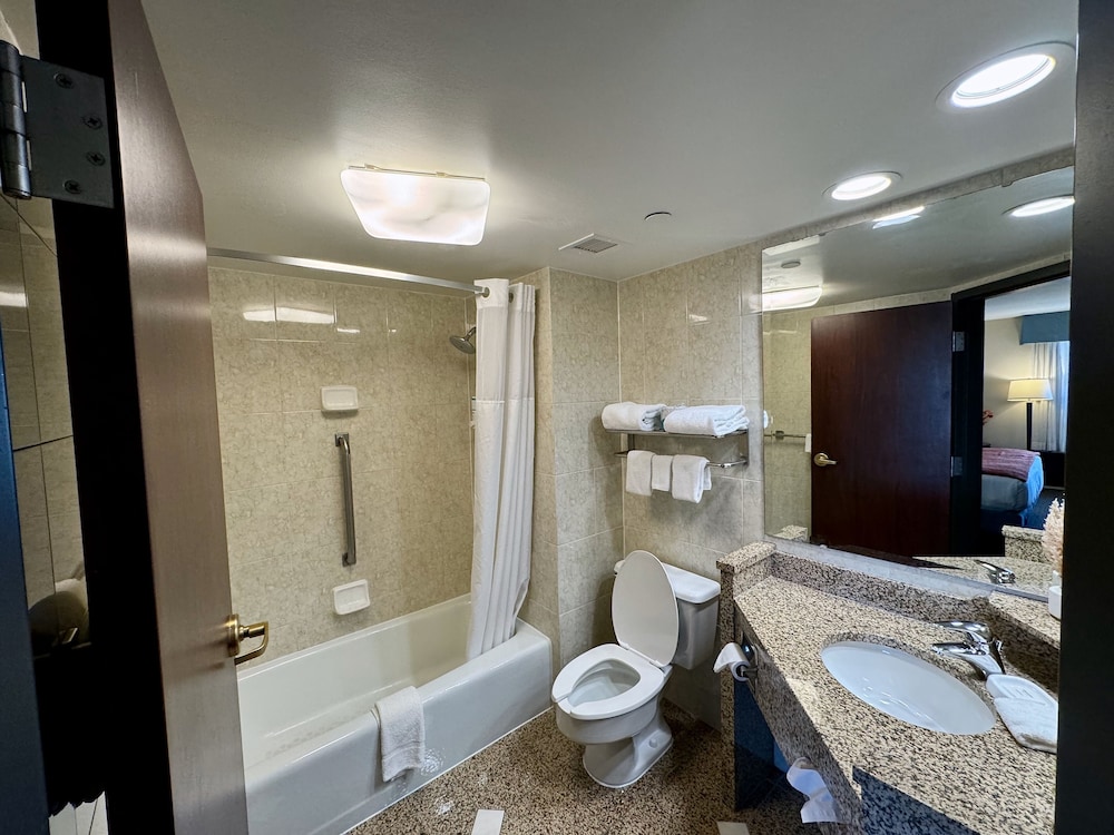 Hotel Indigo Detroit North Troy by IHG - photo 45