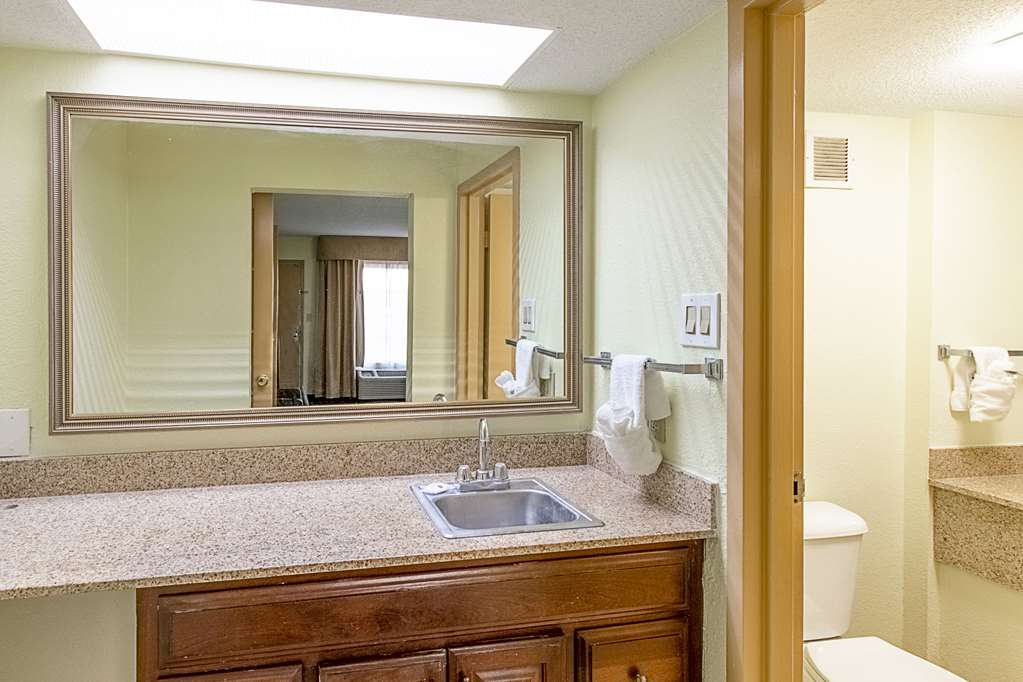 Clarion Inn Columbia Airport - photo 22