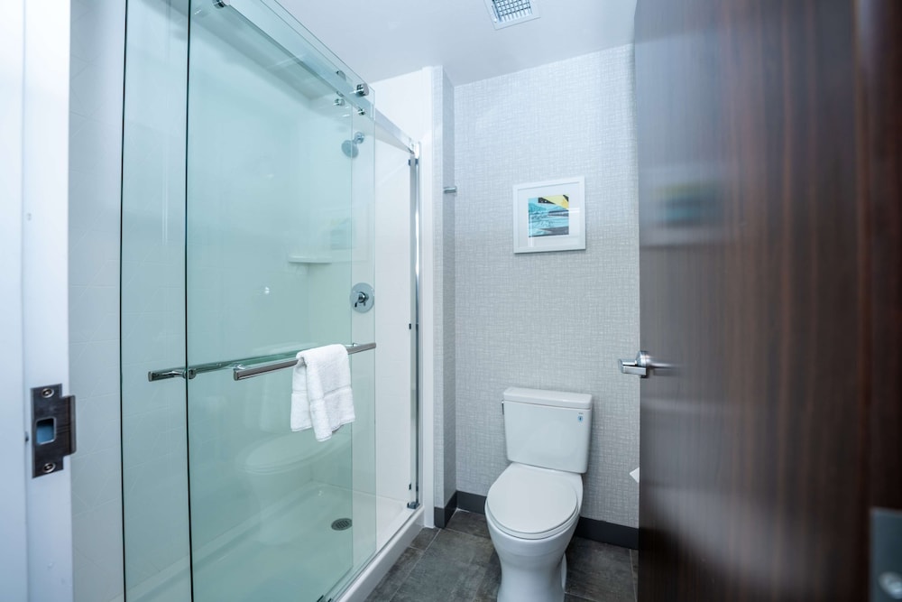 Hampton Inn & Suites Houston Sugar Land - photo 49