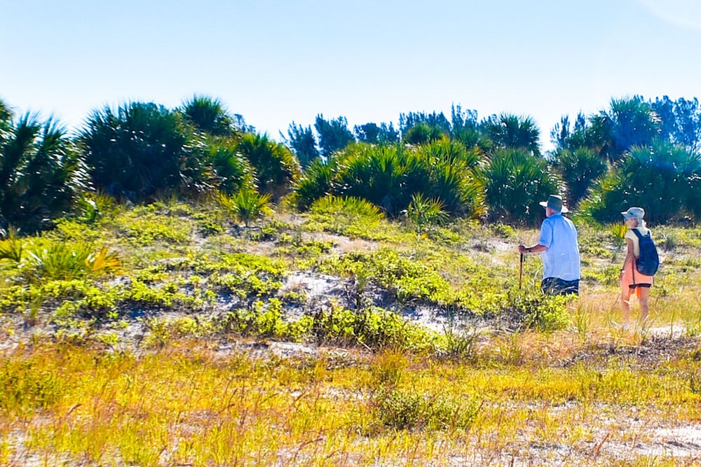 Devon Shores - photo 93